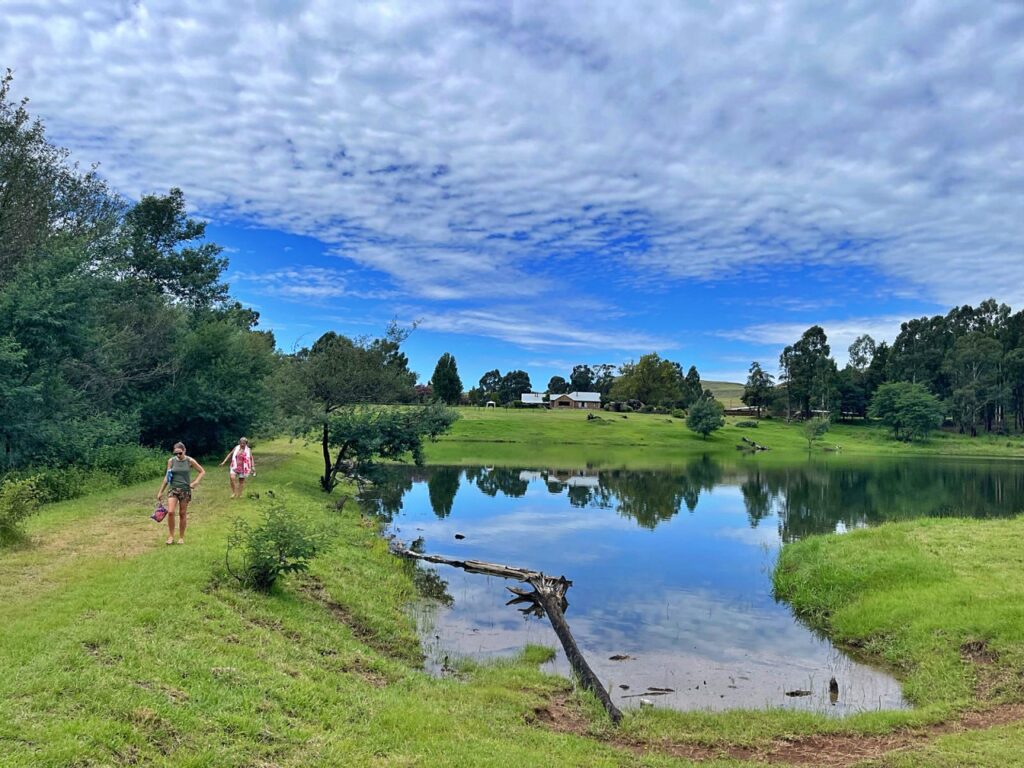 #seaforthcountrylodge
